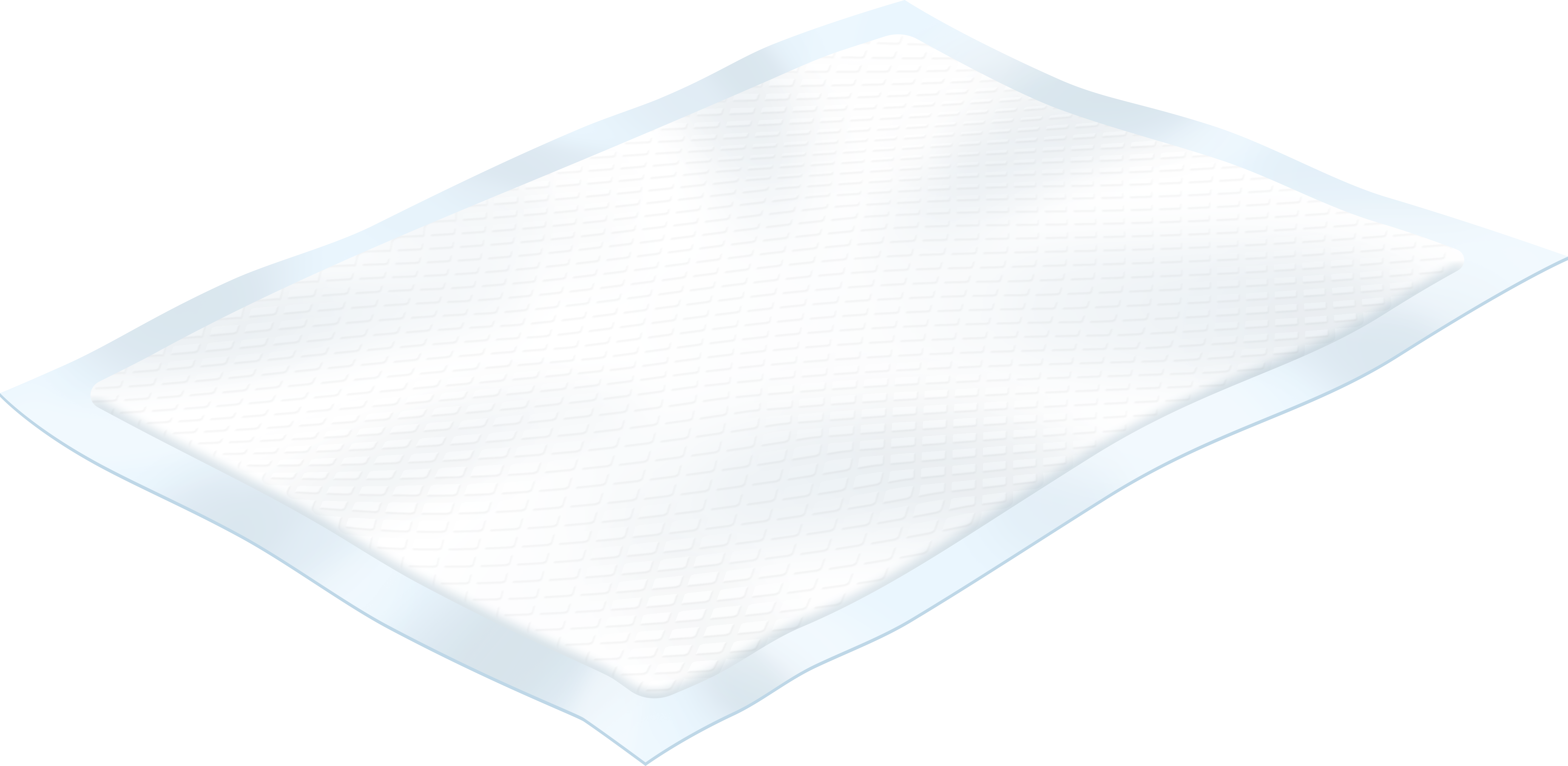 Bed and Chair Pads - Disposable width=